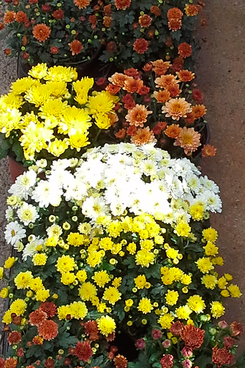 20151001 102300